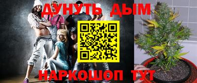 молекула духа Коммунар