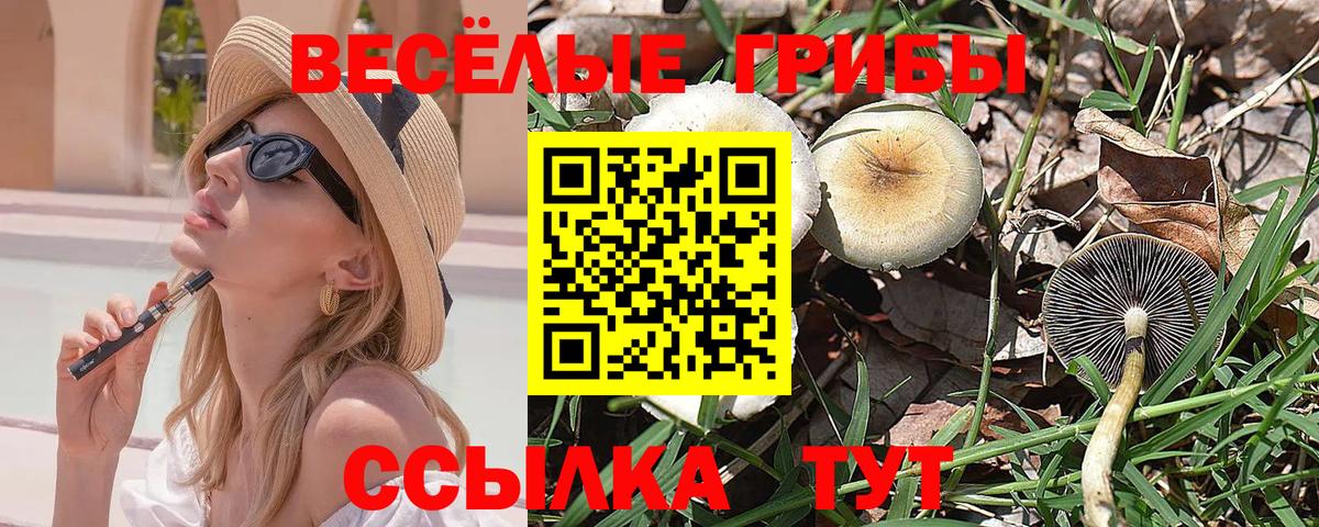 Шахты  Галлюциногенные грибы Psilocybe  Вход с VPN 