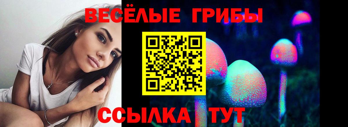 A-PVP Шахты